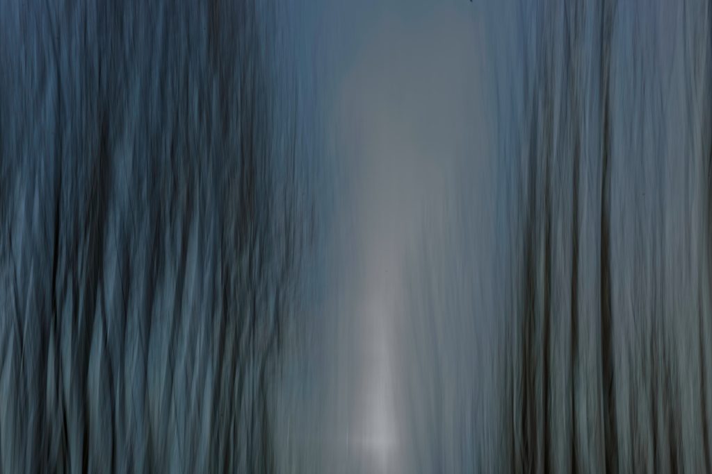 Clarté boréale - Route des essarts - Saint-Uze (26)